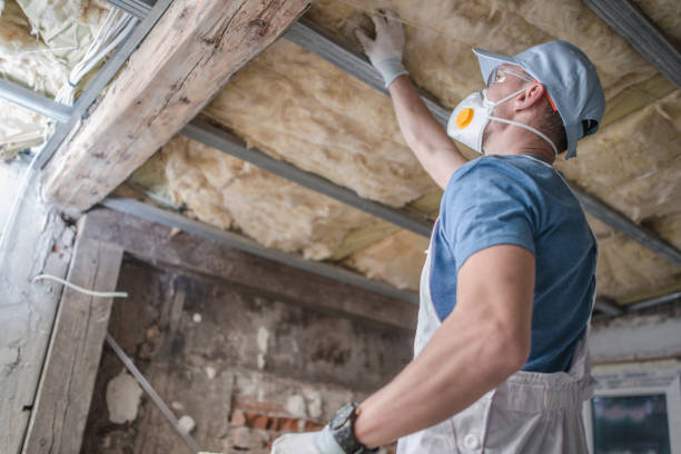 Best Eco-Friendly Insulation in Granby, MO