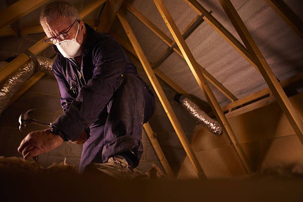 Best Residential Insulation in Granby, MO